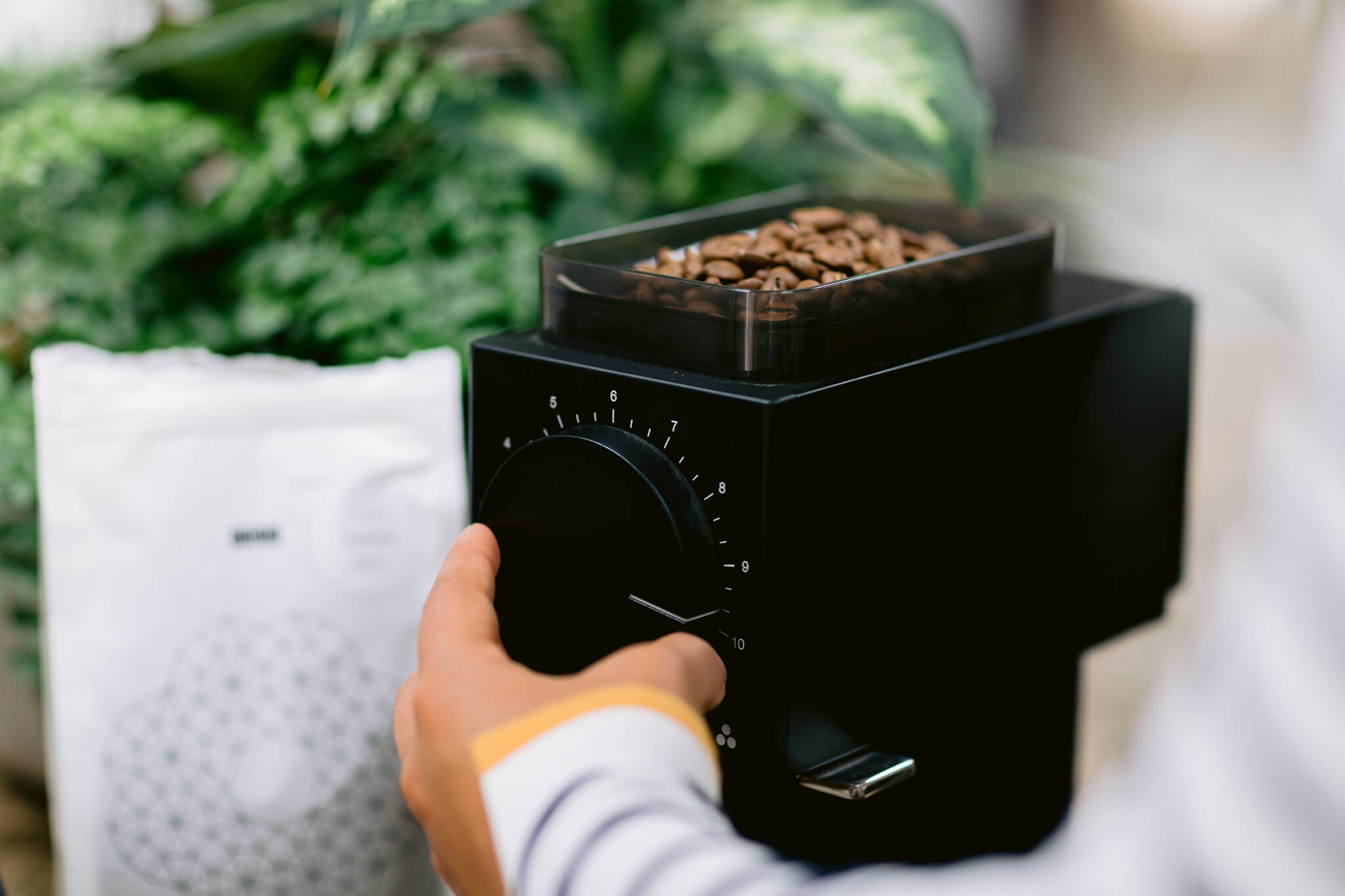 Coffee-Grinder