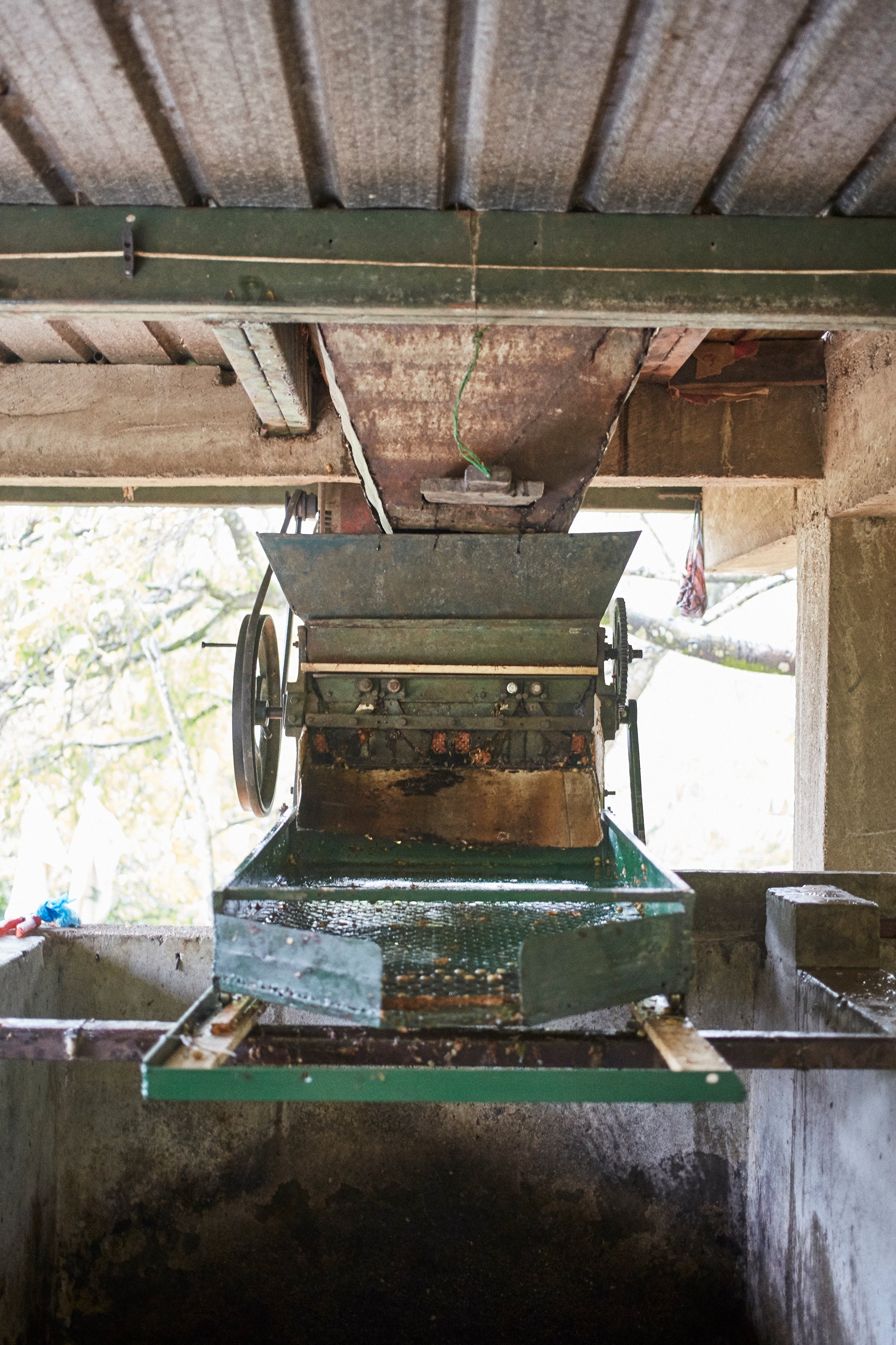 washed-coffee-processing-origin-coffee